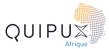 Logo Quipux Afrique